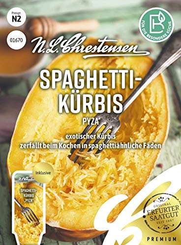 Spaghettikürbis Pyza Samen, Saatgut von N.L.Chrestensen