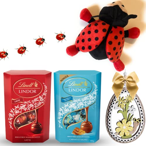 Idee Regalo Pasqua 2024 - Caramello Salato 200gr + Peluche Coccinella + Omaggio - Confezione regalo von NARAMAKI