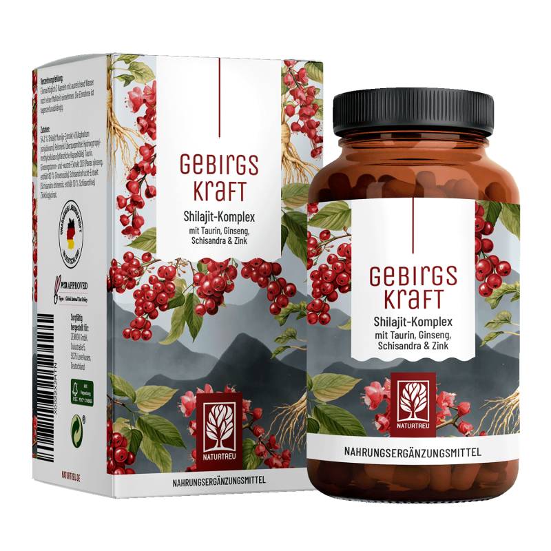 Gebirgskraft: Shilajit-Komplex mit Taurin, Ginseng, Schisandra & Zink von NATURTREU