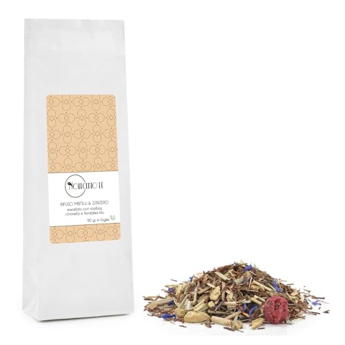 Novecento Tè® | Blaubeer-Ingwer-Aufguss | Kräutertee Ingwer-Blaubeer-Kornblumenblätter - 90 Gr | Rooibos Blaubeeren Ingwer | Teebeutel mit roten Früchten und Gewürzen von NOVECENTO TE'