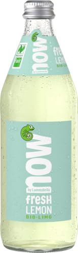 now Fresh Lemon Bio (2 x 0,50 l) von NOW