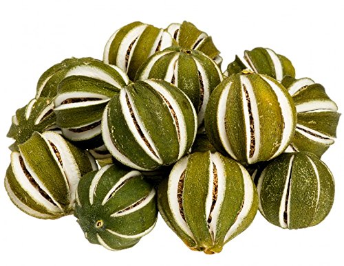 NaDeco Limette, ganze Frucht, geschlitzt, ca. 250g | Citrus aurantiifolia | getrocknete Limonen | getrocknete Limetten | Deko-Limonen | Deko-Limetten | Adventsdekoration | Weihnachtsdekoration von NaDeco