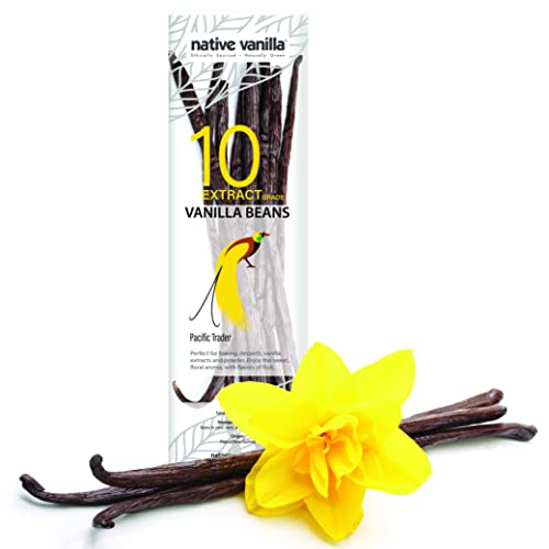 Native Vanilla - Tahitianische Vanilleschoten für Vanilleextrakt 10 Stück 11-14cm hochwertige Schoten. von Native Vanilla