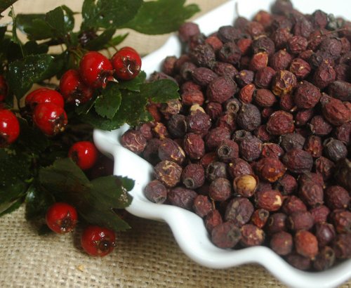 Naturix24 – Weißdornfrüchte, Weißdornbeeren ganz – 100 g-Beutel von Naturix24