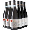 Nestore Bosco  Nestore Bosco Montepulciano DOC Kennenlern-Paket von Nestore Bosco