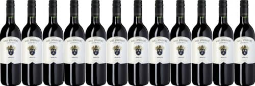 12x Niel Joubert Merlot 2019 - Niel Joubert Wine Estate, Paarl - Rotwein von Niel Joubert Wine Estate