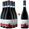 Nima 2022 5+1 Paket \"Spinale\"" Aglianico del Vulture DOC" von Nima