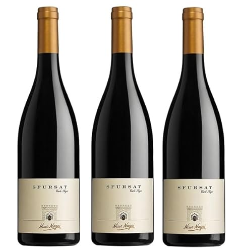 3x 0,75l - 2019er - Nino Negri - Sfursat - "Carlo Negri" - Sforzato di Valtellina D.O.C.G. - Lombardei - Italien - Rotwein trocken von Nino Negri