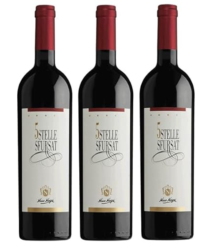 3x 0,75l - 2020er - Nino Negri - Sfursat - "5 Stelle" - Sforzato di Valtellina D.O.C.G. - Lombardei - Italien - Rotwein trocken von Nino Negri