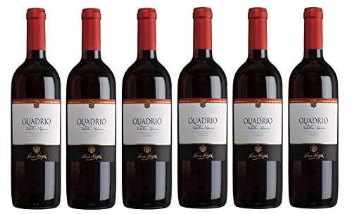 6x 0,75l - 2020er - Nino Negri - Quadrio - Valtellina Superiore D.O.C.G. - Lombardei - Italien - Rotwein trocken von Nino Negri