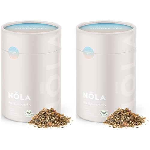 NOLA Bio Teemischung 'Summer Sky' - BIO Früchte-Tee mit Ananas, Mango, Lemongras und Zitronenmelisse - loser Premium Bio-Früchtetee mit 100% natürlichen Zutaten, vegan (Packung mit 2) von Nola