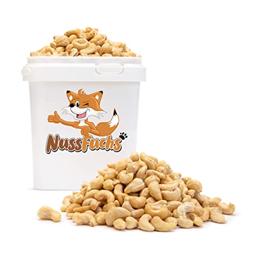 Cashewkerne Natur 1,5kg naturbelassen ungeröstet ungesalzen 100% Natural knackige Cashewnüsse ohne Bruch ohne Salz - ganze Cashew Kerne ungeschwefelt unbehandelt Rohkost -NussFuchs (1,5kg Behälter) von NussFuchs