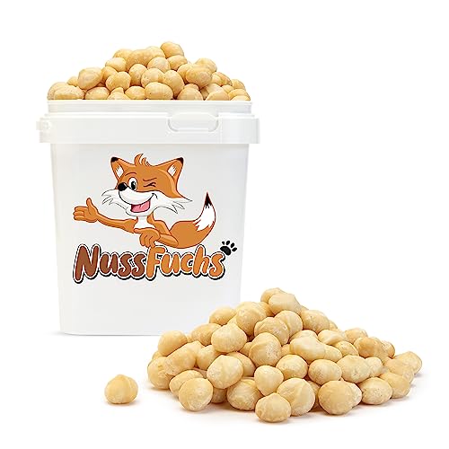 Macadamia Nüsse 3kg Macadamianüsse ungeröstet & ungesalzen ganze Macadamia Nusskerne roh ungesalzen naturbelassen unbehandelt knackige Macadamia Nüsse in Rohkostqualität - NussFuchs (3kg) von NussFuchs