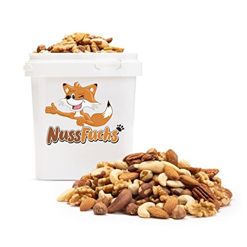 Nussmischung Natur - 1kg - Nuss Mix - 7 Sorten knackige Nusskernmischung - ungeröstet ungesalzen - Paranüsse Walnüsse Cashewkerne Mandeln Pekannüsse Haselnüsse Mandeln blanchiert - NussFuchs (1kg) von NussFuchs