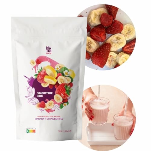 Ready to Blend Smoothie Kits Freeze-Dried Whole Fruits and Veggies for Healthy, Convenient Smoothies, Vegan, No Added Sugar, Smoothie DIY (1 serving, Yummy) von NutriBoom