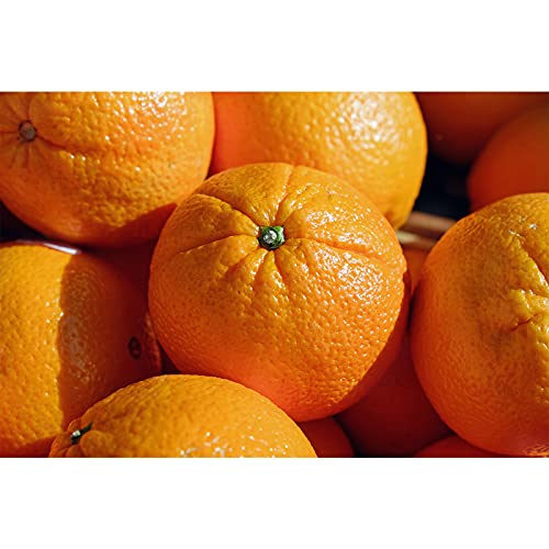 GANIO Orangen Frisch 3 kg | Frische Orangen Saftig & Süß | Frisches Obst & Gemüse | Schneller Plastikfreier Versand aus Ostfriesland von OBST