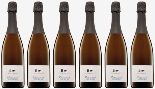 Albert Wiedemann | 6 Flaschen | Crémant Pinot Sekt b.A. brut | feinperlig | Aroma von grünen Äpfeln | Vegan | Bio | ökologisch | Bioland von Ökologisches Weingut Albert Wiedemann, Pfalz