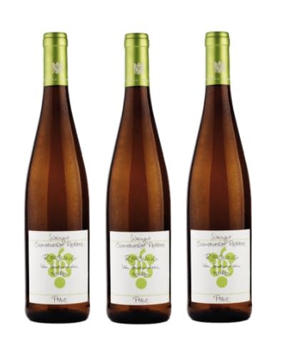 3x 0,75l - 2023er - Ökonomierat Rebholz - Riesling vom Buntsandstein - Qualitätswein Pfalz - Deutschland - Weißwein trocken von Ökonomierat Rebholz