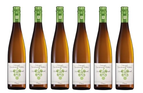 6x 0,75l - 2023er - Ökonomierat Rebholz - Grauer Burgunder - Qualitätswein Pfalz - Deutschland - Weißwein trocken von Ökonomierat Rebholz