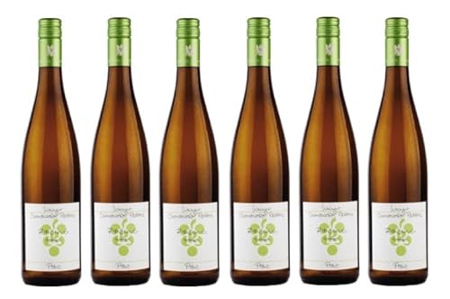 6x 0,75l - 2023er - Ökonomierat Rebholz - Riesling - Qualitätswein Pfalz - Deutschland - Weißwein trocken von Ökonomierat Rebholz