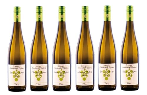 6x 0,75l - 2023er - Ökonomierat Rebholz - Sauvignon Blanc - Qualitätswein Pfalz - Deutschland - Weißwein trocken von Ökonomierat Rebholz