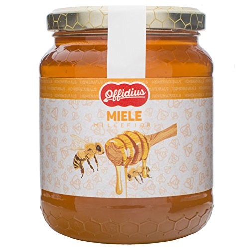 Offidius - Mischblütenhonig (Berghonig) - 500 gr - Made in Italy von Offidius