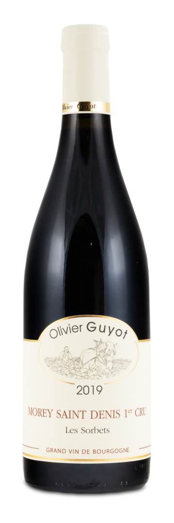 2019 Morey Saint Denis Premier Cru AC "Les Sorbets" von Olivier Guyot