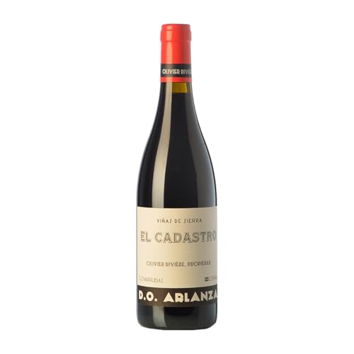 Olivier Rivière El Cadastro Arlanza Alterung 75 cl Rotwein von Olivier Rivière