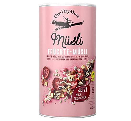 OneDayMore Früchte Müsli | 400g Vegan Musli Viele Früchte | Haferflocken Frühstück 100% Natürlich Muesli | Gesunde Fit Essen Haferflocken mit Apfel Erdbeeren Datteln von OneDayMore