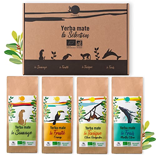 ORIGEENS GESCHENKSET BIO MATE TEE x4 I Bio Yerba Mate 4x80g I Yerba Mate Tee Set, Geschenkidee von Origeens