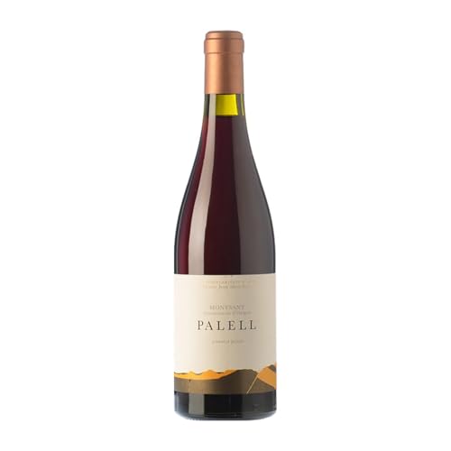 Orto Palell Grenache Haarig Montsant Alterung 75 cl Rotwein von Orto Vins