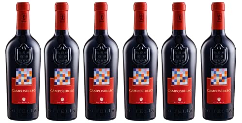 6x 0,75l - 2019er - Ottella - Camposireso - Rosso - Alto Mincio I.G.P. - Veneto - Italien - Rotwein trocken von Ottella