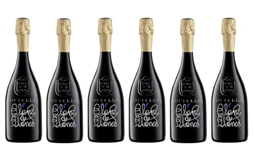 6x 0,75l - Ottella - Blanc de Blancs - Chardonnay - Metodo Classico - Brut - Veneto - Italien - Schaumwein brut von Ottella