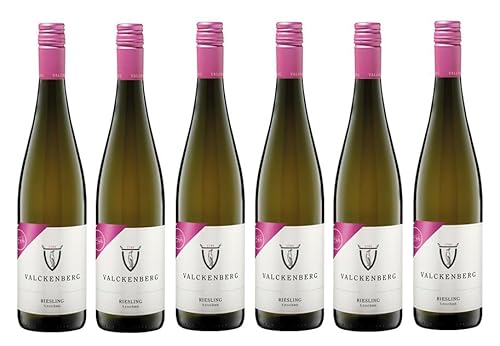 6x 0,75l - 2023er - P. J. Valckenberg - Riesling - Qualitätswein Rheinhessen - Deutschland - Weißwein trocken von P. J. Valckenberg