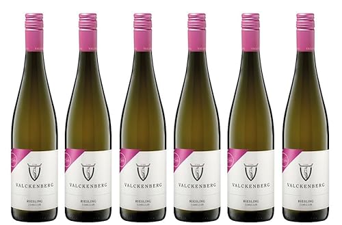 6x 0,75l - 2023er - P. J. Valckenberg - Riesling lieblich - Qualitätswein Rheinhessen - Deutschland - Weißwein lieblich von P. J. Valckenberg