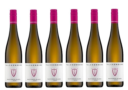 6x 0,75l - 2023er - P. J. Valckenberg - Sauvignon Blanc - Qualitätswein Rheinhessen - Deutschland - Weißwein trocken von P. J. Valckenberg