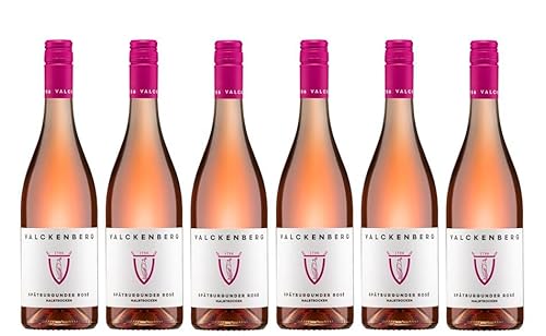 6x 0,75l - 2023er - P. J. Valckenberg - Spätburgunder Rosé - Qualitätswein Rheinhessen - Deutschland - Rosé-Wein halbtrocken von P. J. Valckenberg