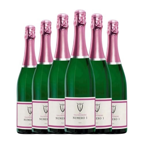 P.J. Valckenberg Número 1 Airén Brut Rheinhessen 75 cl Rosé Sekt (Karton mit 6 Flaschen von 75 cl) von P.J. Valckenberg