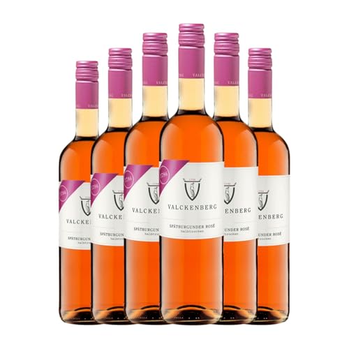 P.J. Valckenberg Rosé Spätburgunder Halbtrocken Halbsüß Rheinhessen 1 L Rosé-Wein (Karton mit 6 Flaschen von 1 L) von P.J. Valckenberg