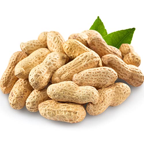 Erdnüsse in der Schale Groß und 100% Vegan (1 KG)/ Geröstet und Natural Erdnuss mit schale/ 100 % naturlich/ Vegan von PERGAMO Natural Flavor