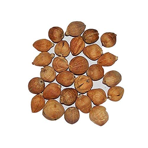 Earth Best Original Laghu Coconut - Sriphal - Laghu Nariyal - Set of 11 Pieces von PKD