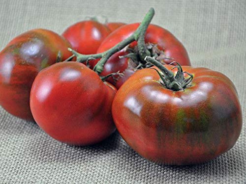 PLAT FIRM GERMINATIONSAMEN: 1250 Samen oder 1/8 OZ: Paul Robeson Tomate, Rare ErbstÃƒ¼ck, NON-GMO, sk Art, Sorte GrÃƒ¶ÃƒŸen verkauft von PLAT FIRM