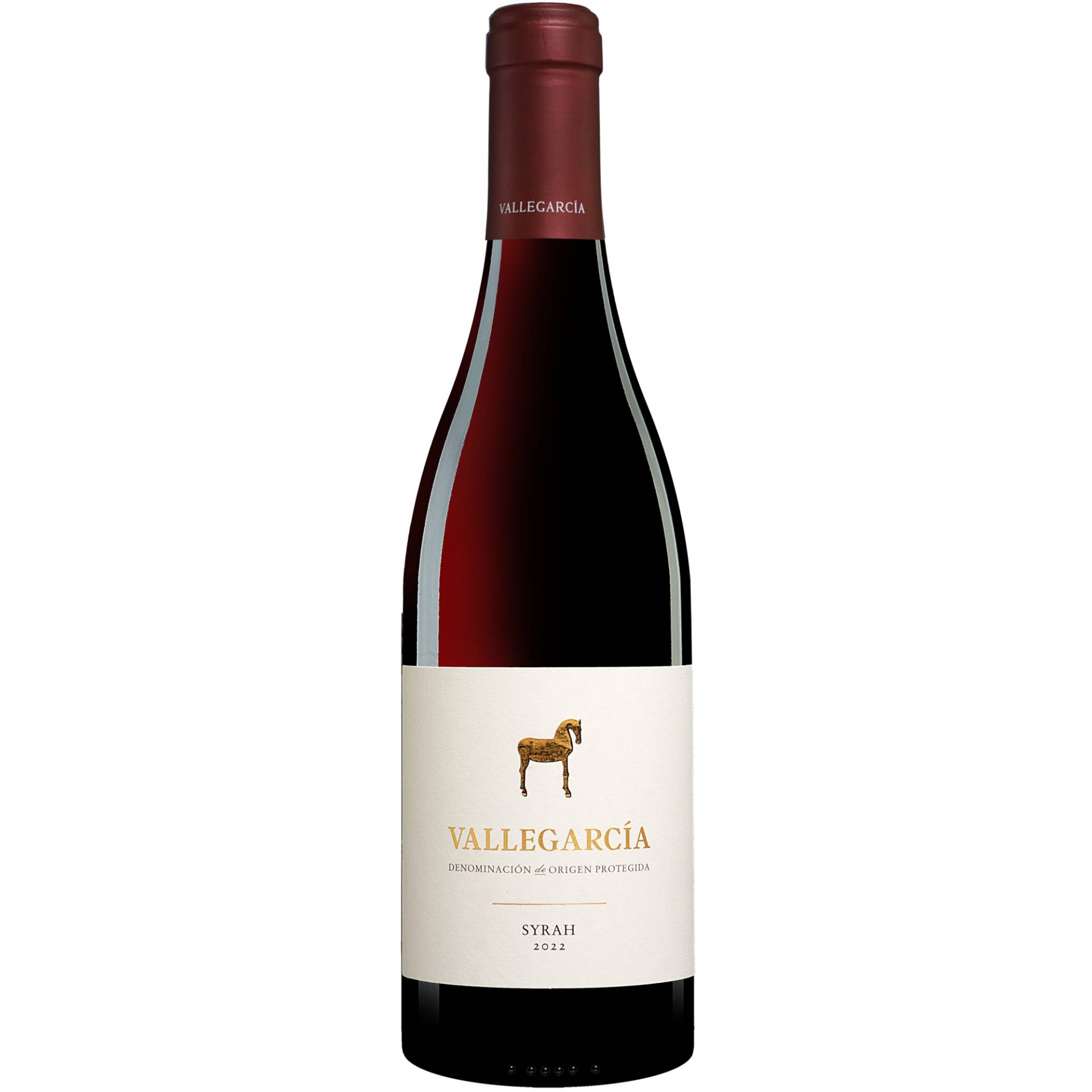 Vallegarcía Syrah 2022  0.75L 14.5% Vol. Rotwein Trocken aus Spanien von Pago de Vallegarcía