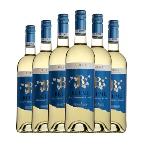 Pagos del Rey Blume Sauvignon Weiß Rueda 75 cl Weißwein (Karton mit 6 Flaschen von 75 cl) von Pagos del Rey