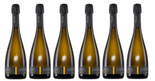 6x 0,75l - 2023er - Paladin - Prosecco Millesimato - extra dry - Prosecco D.O.P. - Italien - Schaumwein extra dry von Paladin