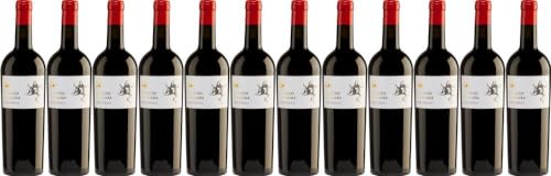 12x Nero d' Avola 2022 - Weingut Palazzo Malgara, Sicilia - Rotwein von Weingut Palazzo Malgara