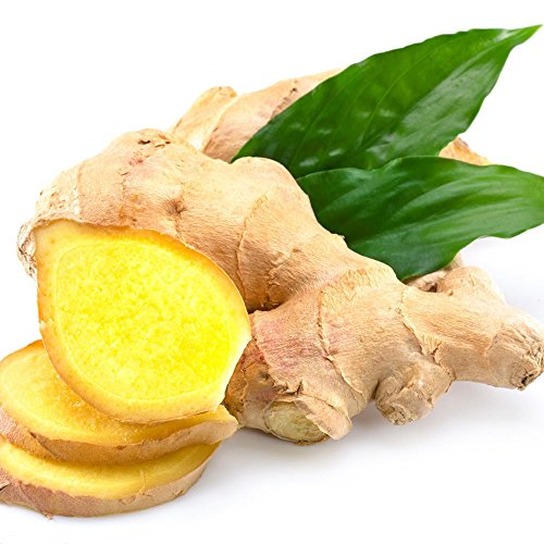 5kg Frischer Ingwer Pamai Pai® frisch Ginger Wurzel Ingwerwurzel von Pamai Pai