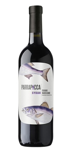 Syrah Terre Siciliane IGT 2023 von Parrapicca