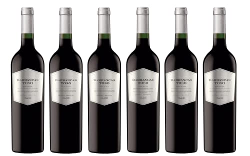 6x 0,75l - Pascual Toso - Barrancas Toso - Mendoza - Argentinien - Rotwein trocken von Pascual Toso