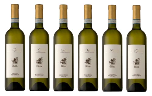 6x 0,75l - 2023er - Pasetto Emilio - Cascina Albarone - Lugana D.O.P. - Lombardei - Italien - Weißwein trocken von Pasetto Emilio